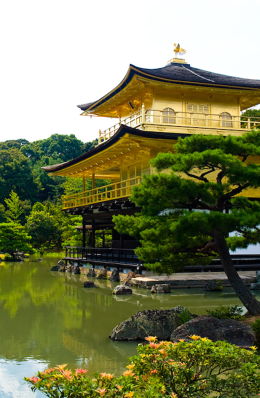 Évasion à Kyoto - 1h50